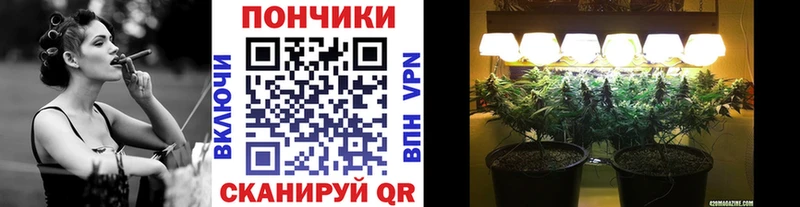 Бошки Шишки SATIVA & INDICA  купить наркоту  Копейск 